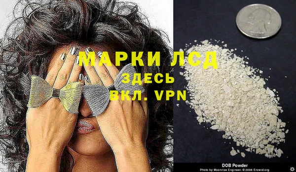 дживик Баксан