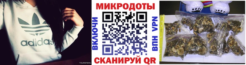 Псилоцибиновые грибы прущие грибы  hydra вход  Каспийск  где найти  
